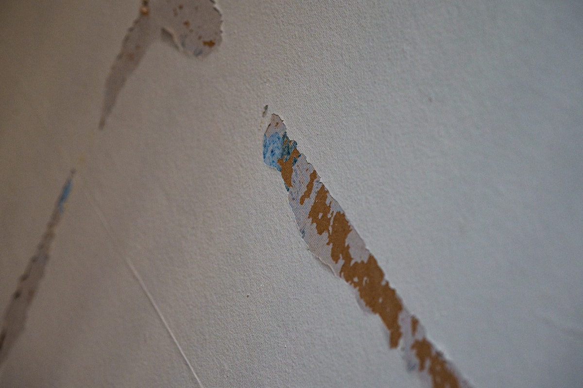 Flood Cleanup service in Lakewood, OH